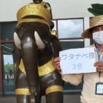 <div style="text-align:left;"> <span style="color:#32cd32;"><strong>キャンペーン中！</strong></span><br> AP-1 <span style="color:#cc3300;"><strong>空港お迎え＋遺跡観光</strong></span><br> 空港お迎え→アンコールワット→タ・プローム→アンコールトム→ホテルへ送迎<br> ５時間チャータープラン </div> <br> <div style="text-align:center; line-height:1.8;"> 「エアコン付き専用車＋日本語ガイド込み」<br> <strong><span style="color:#ff69b4;">グループ合計料金</span></strong><br> １名：<span style="color:#1e90ff;"><s>130＄</s></span> → <span style="color:#cc3300;"><strong>110＄</strong></span><br> ２名：<span style="color:#1e90ff;"><s>150＄</s></span> → <span style="color:#cc3300;"><strong>120＄</strong></span><br> ３〜５名：<span style="color:#1e90ff;"><s>170＄</s></span> → <span style="color:#cc3300;"><strong>140＄</strong></span><br> もっと見る≫≫ </div>